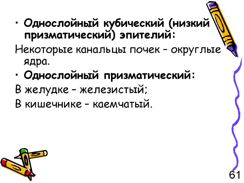 Однослойный кубический (низкий призматический) эпителий: Некоторые канальцы почек – округлые ядра. Однослойный призматический: В